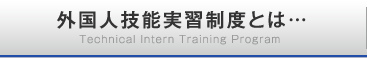 外国⼈技能実習制度とは…