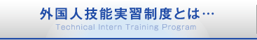 外国⼈技能実習制度とは