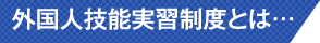 外国⼈技能実習制度とは…